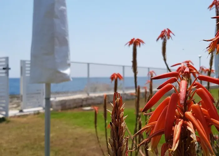 Marzano Appartement *